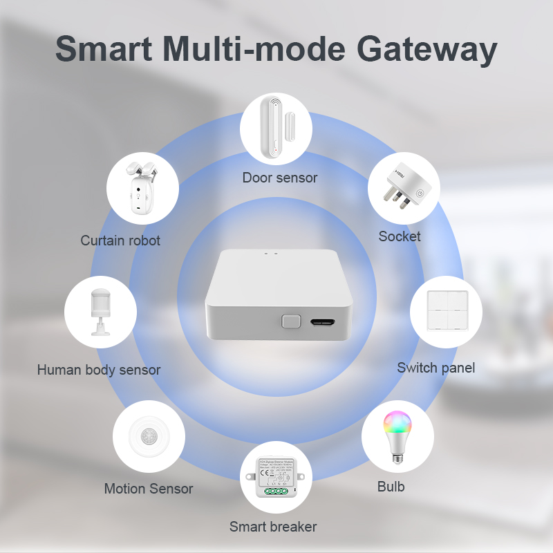 Mini Multi-mode Gateway (RSH-GW018)