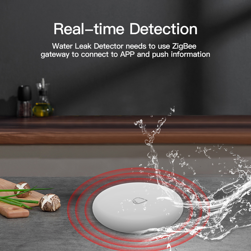 ZigBee Water Sensor RSH-WL08