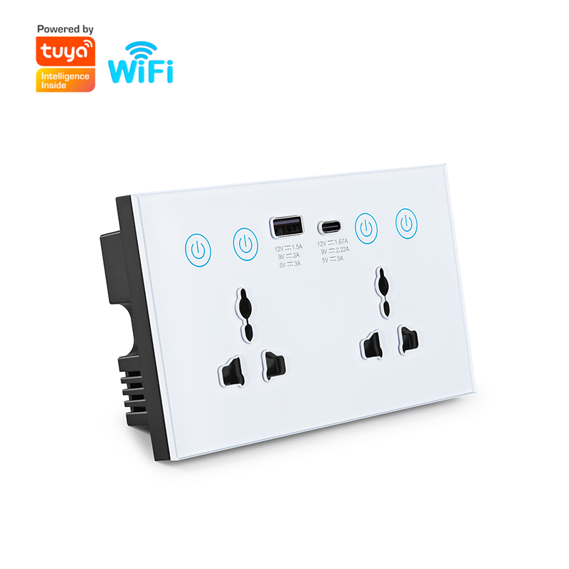 Dual WiFi Smart Wall Plug Socket with USB (RSH-SP214)