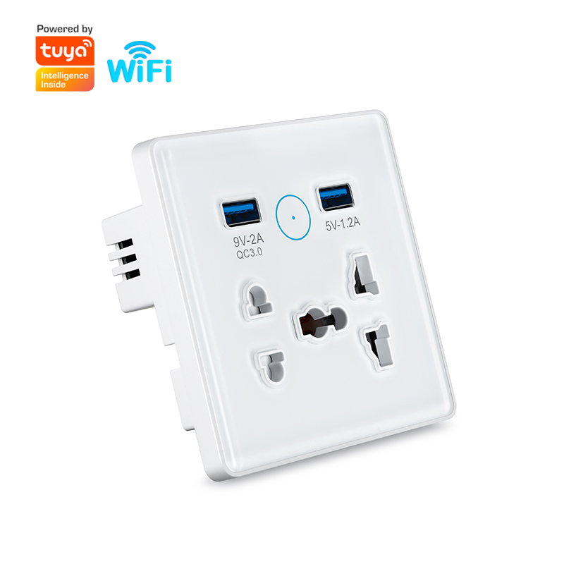 WiFi Smart Universal Wall Plug Socket with USB (RSH-SP213)