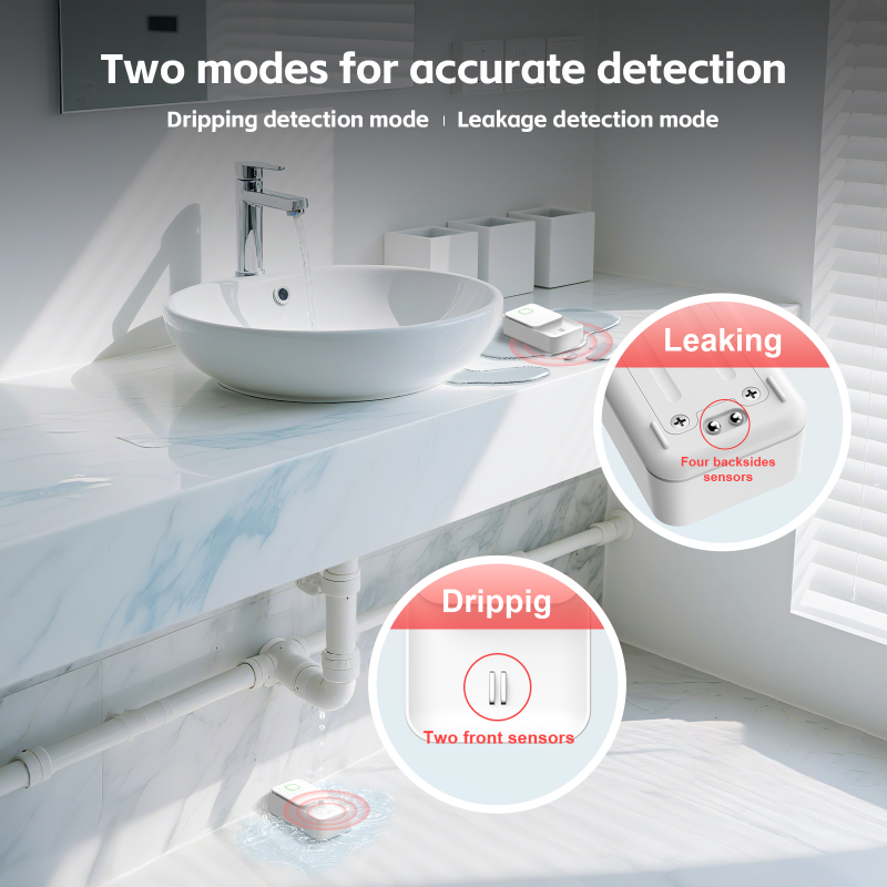 New WiFi/ZigBee Water Sensor (RSH-WL09)