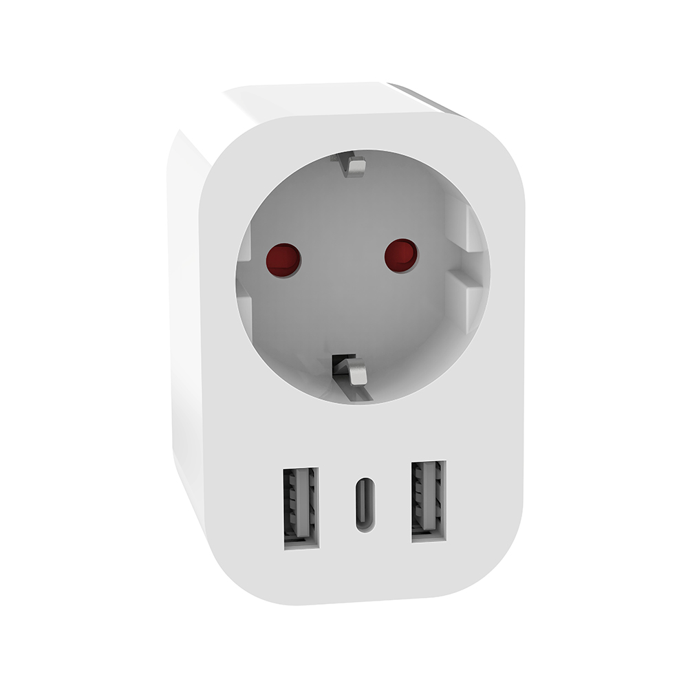 WiFi Smart GE Plug with Type C (RSH-WS045)